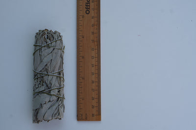 White Sage 4 inches long 1 piece