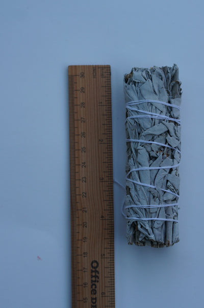 White Sage Smudge Stick 4 inches Long SET OF 5 Bundle