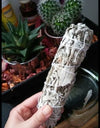 Set of 5 White Sage Wands 4 inches  + FREE 1 Palo Santo Wood Stick