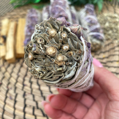White Sage mix with Lavender 4 inches