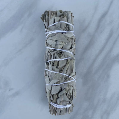 White Sage 4 inches long  1 piece